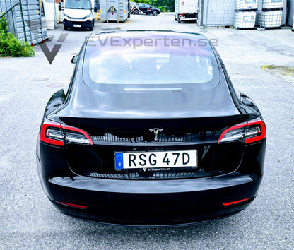 Deposition - Tesla Model 3 Long Range - 2019