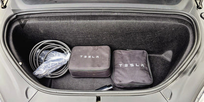 Deposition - Tesla Model X Performance Ludicrous+ Raven - 2020