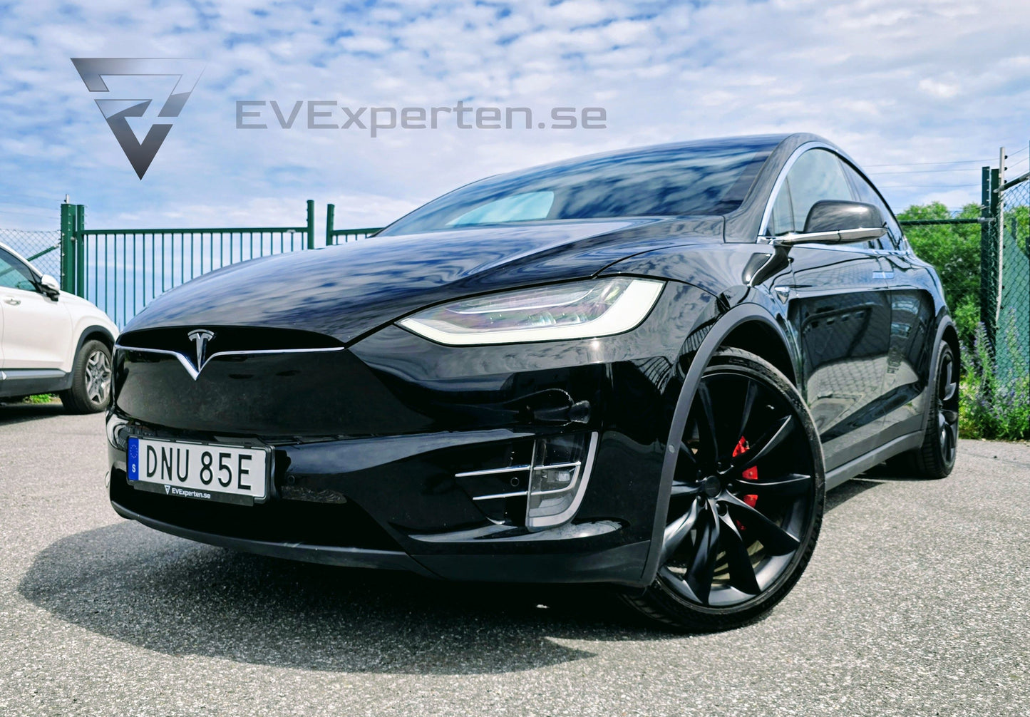 Deposition - Tesla Model X Performance Ludicrous+ Raven - 2020