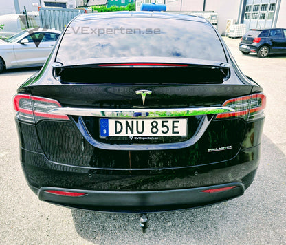 Deposition - Tesla Model X Performance Ludicrous+ Raven - 2020