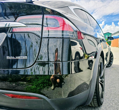 Deposition - Tesla Model X Performance Ludicrous+ Raven - 2020