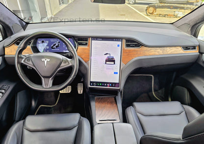 Deposition - Tesla Model X Performance Ludicrous+ Raven - 2020