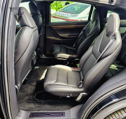 Deposition - Tesla Model X Performance Ludicrous+ Raven - 2020
