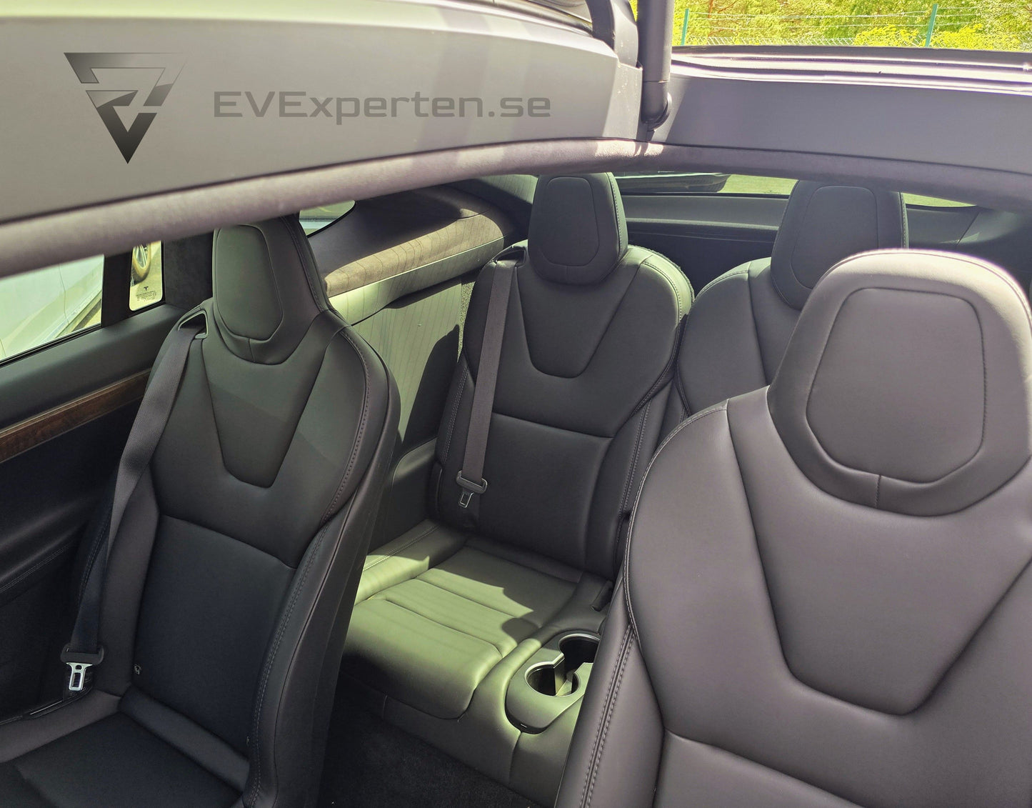 Deposition - Tesla Model X Performance Ludicrous+ Raven - 2020