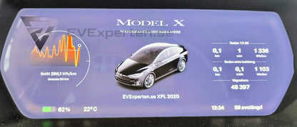 Deposition - Tesla Model X Performance Ludicrous+ Raven - 2020
