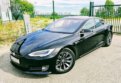 Deposition - Tesla Model S Long Range Raven AWD - 2020
