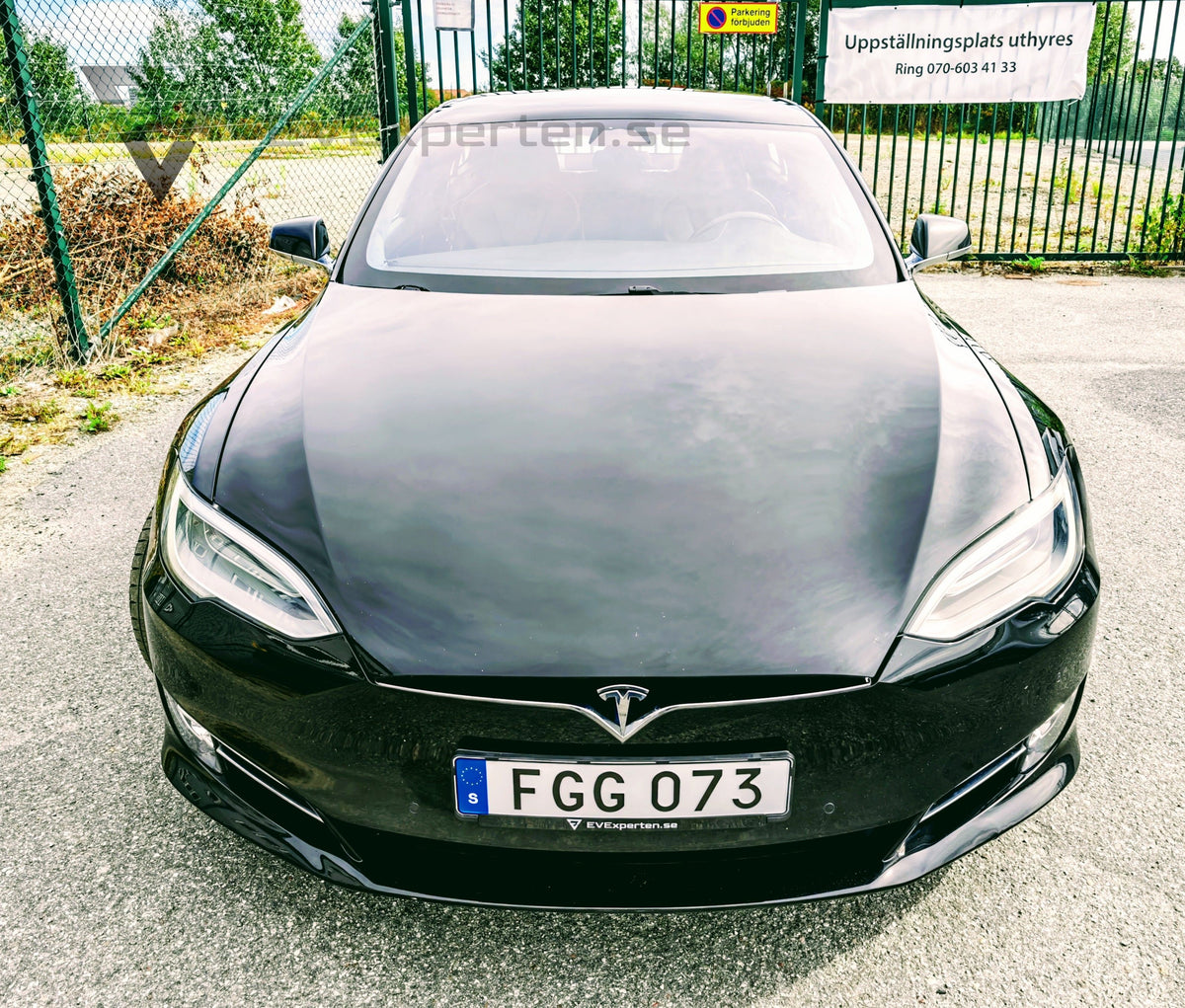 Deposition - Tesla Model S Long Range Raven AWD - 2020
