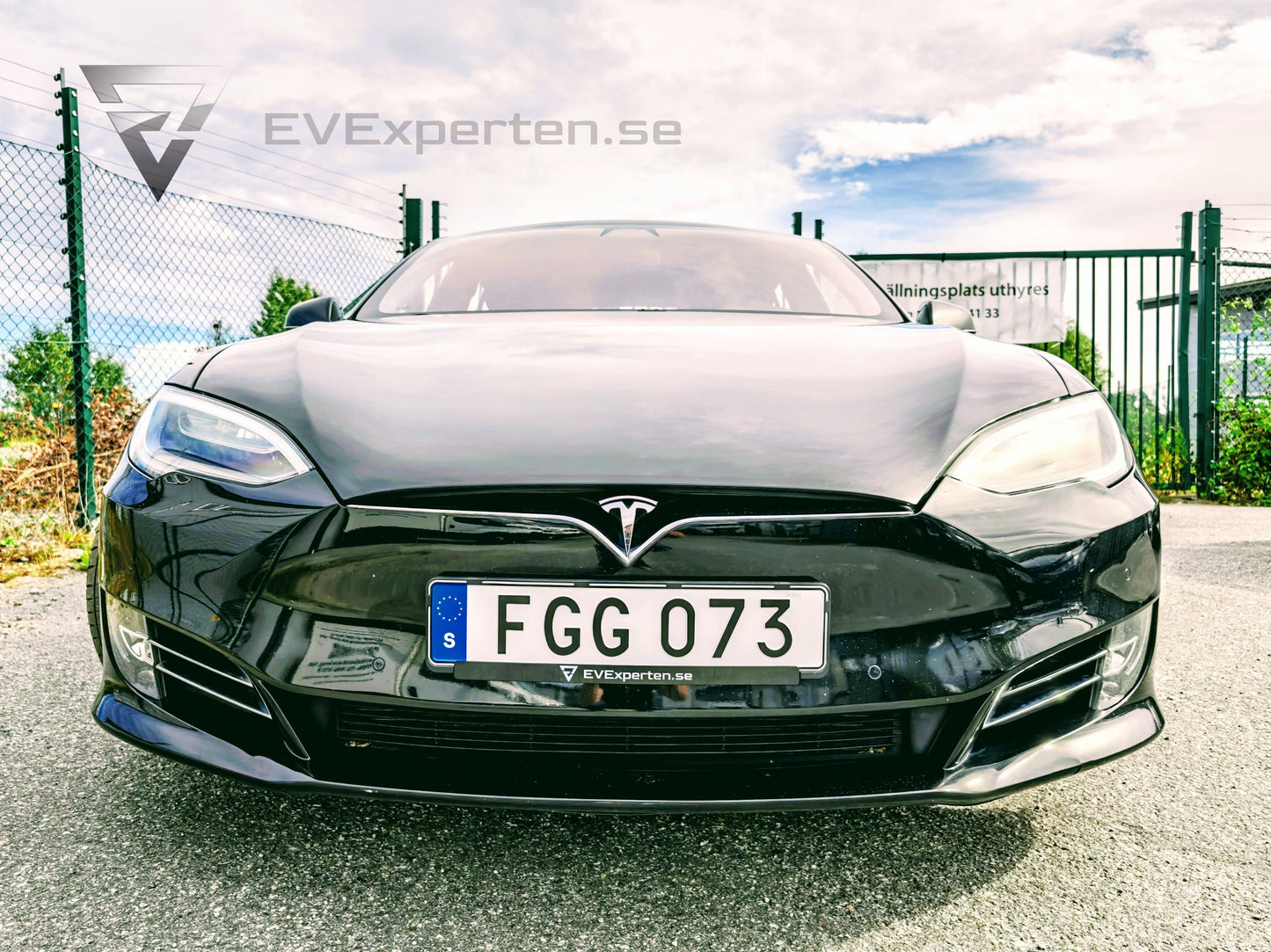 Deposition - Tesla Model S Long Range Raven AWD - 2020