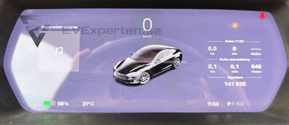 Deposition - Tesla Model S Long Range Raven AWD - 2020
