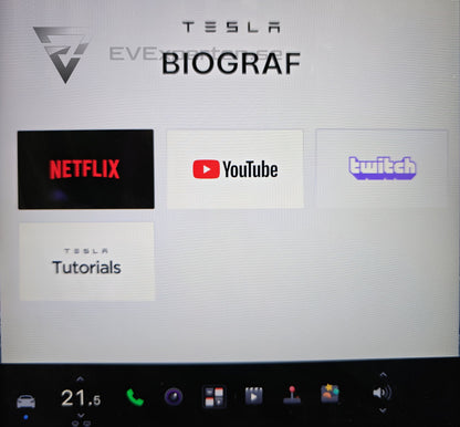 Deposition - Tesla Model S Long Range Raven AWD - 2020