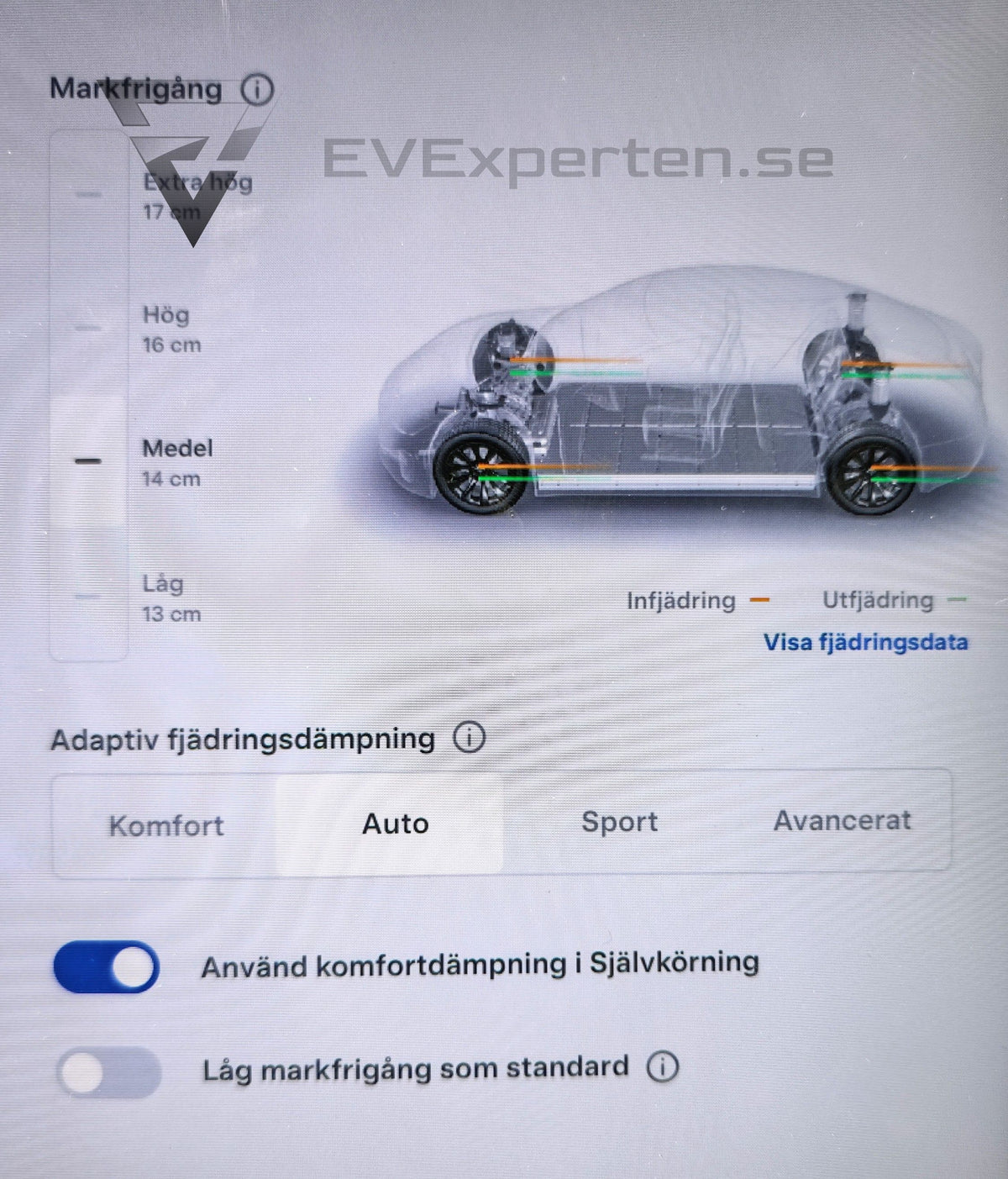 Deposition - Tesla Model S Long Range Raven AWD - 2020